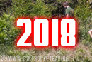 2018