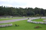 HkiMiniMotoGP054